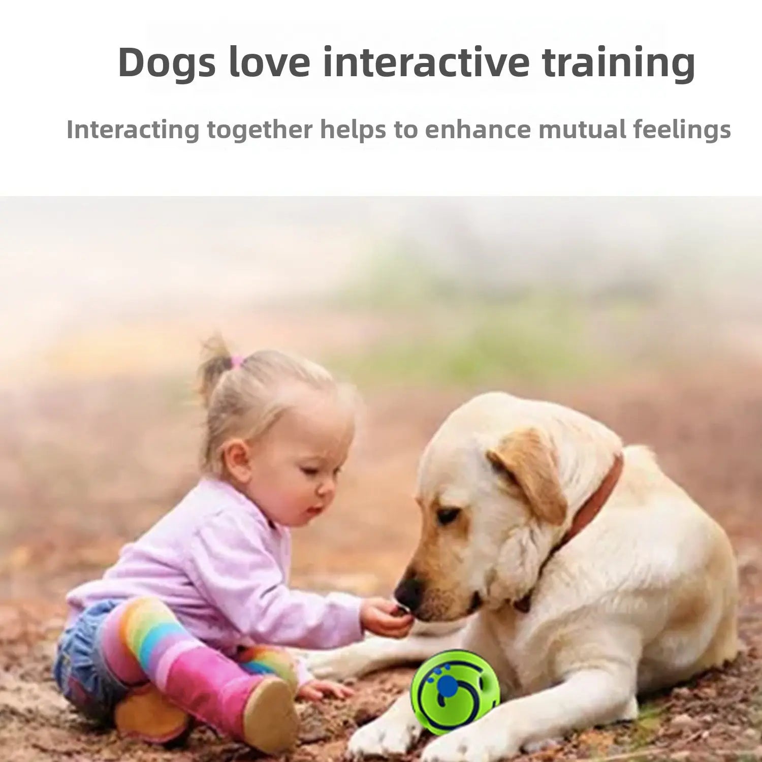 Pet Dog Toy Self-Play Ball, Rolling Sound Ball, Teeth Grinding Stress Relief, Durable Chew Toy, Fun Interactive Dog Toy