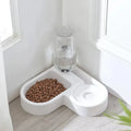 Automático mascota plato anti gato plato perro