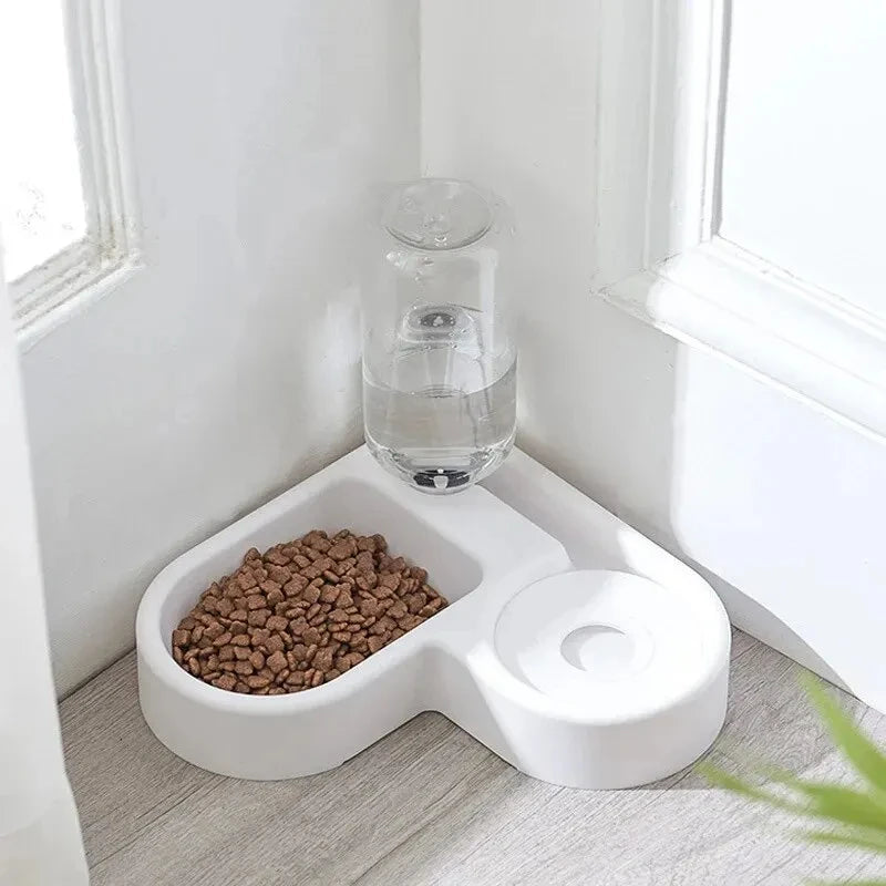 Automático mascota plato anti gato plato perro