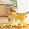 Perro con perro juguetes mascota