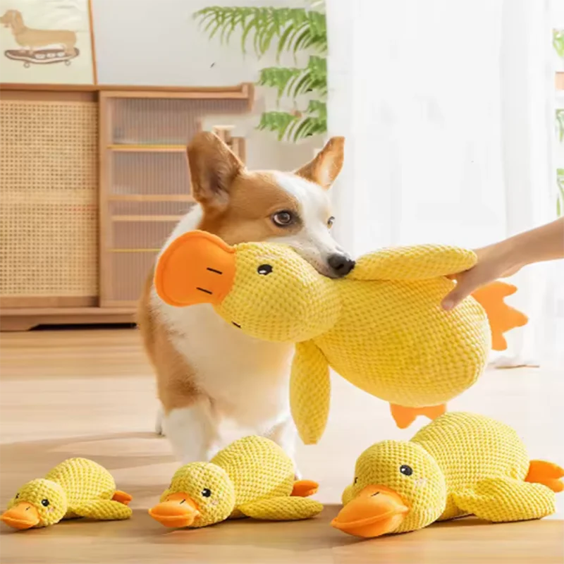 Perro con perro juguetes mascota