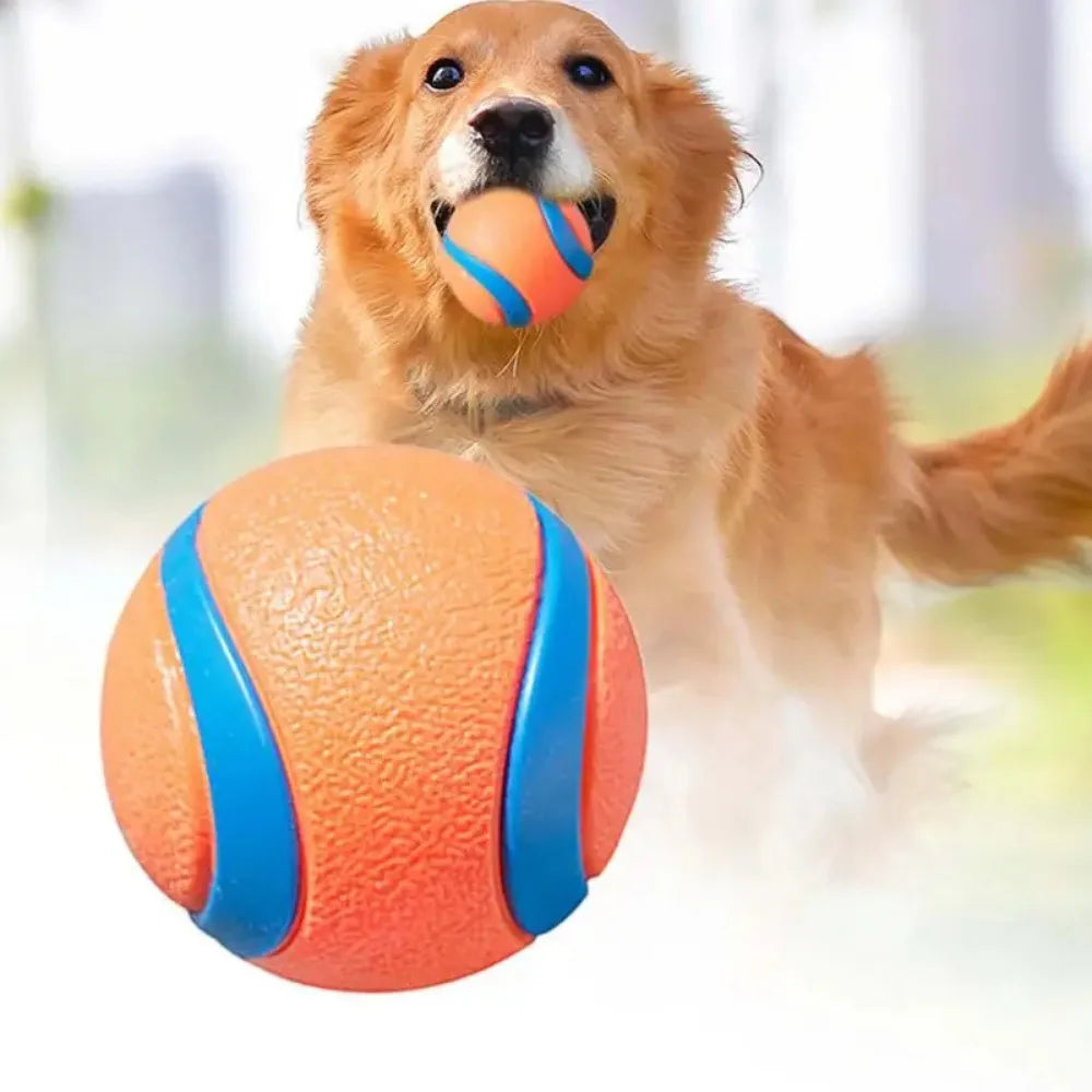 Juguete para perros