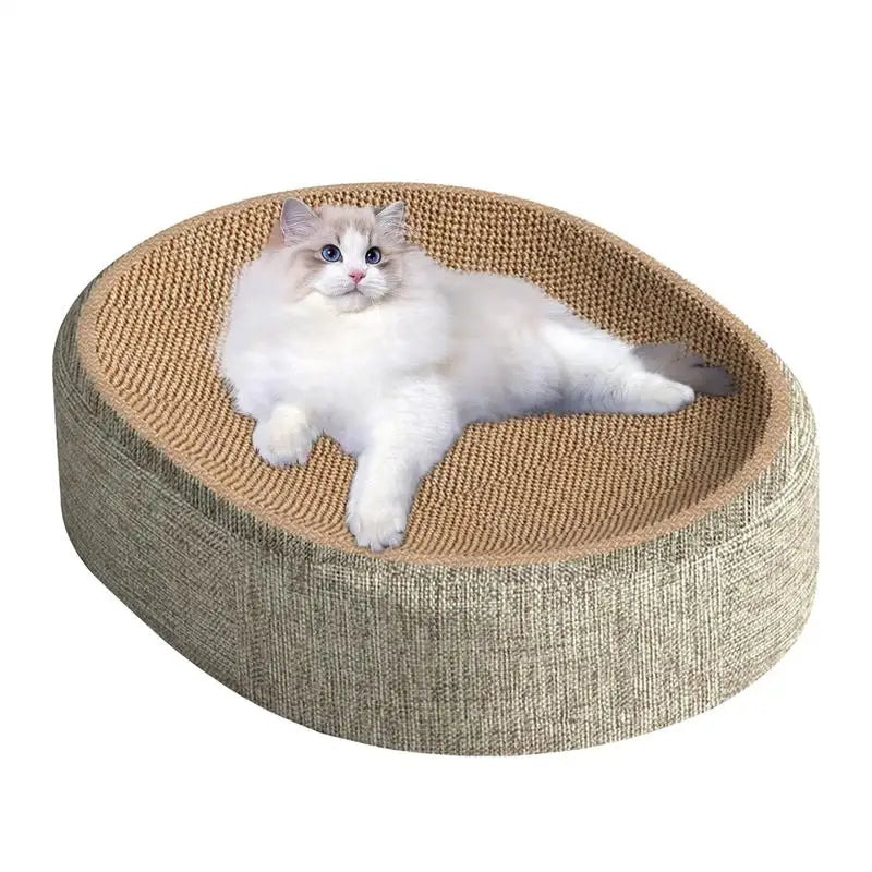 Mascotas para gatos