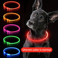 Collar de luz LED para perro mascota, Collar luminoso