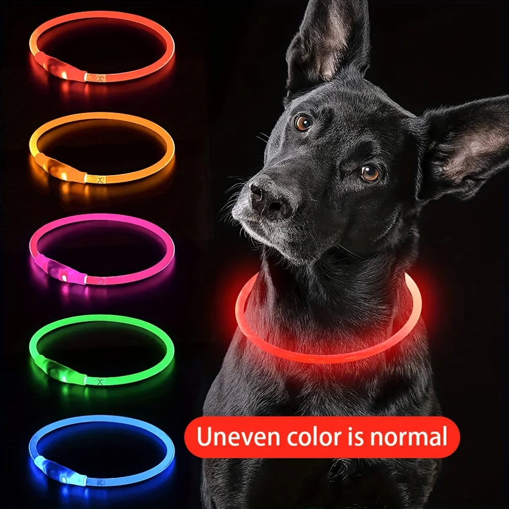 Collar de luz LED para perro mascota, Collar luminoso