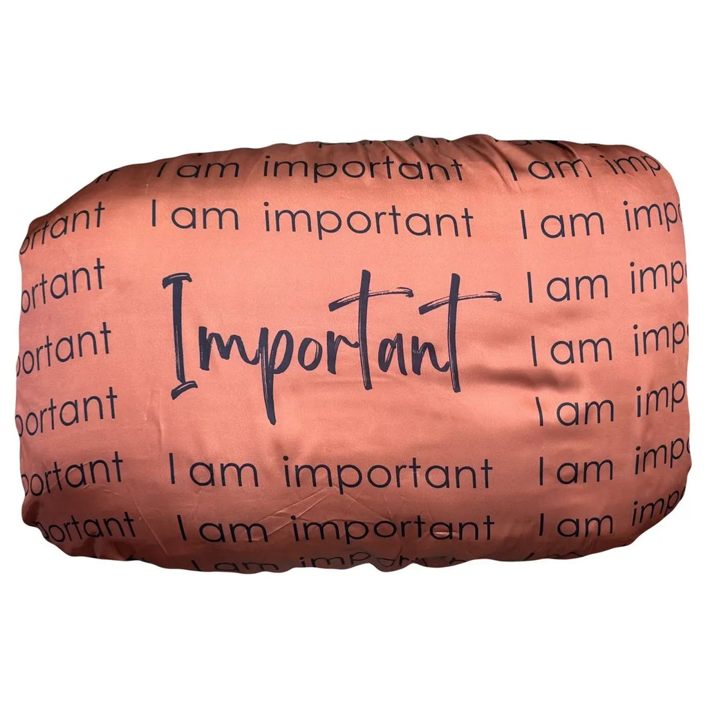 BROWN IMPORTANT AFFIRMATION SATIN SILK PILLOWCASE
