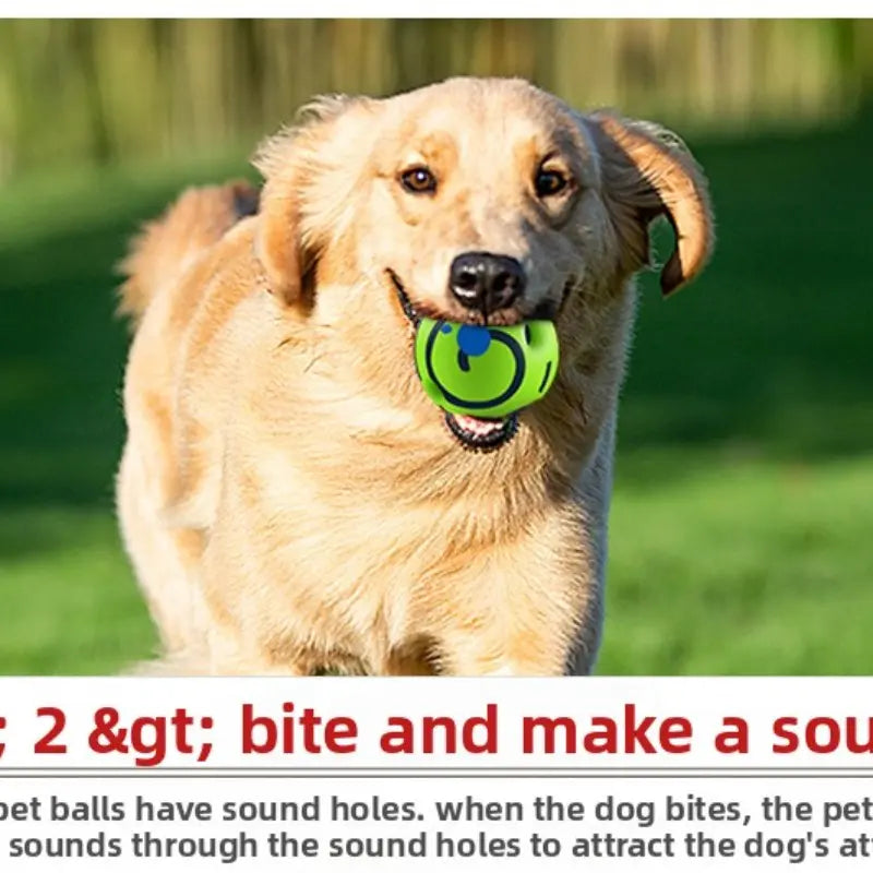 Pet Dog Toy Self-Play Ball, Rolling Sound Ball, Teeth Grinding Stress Relief, Durable Chew Toy, Fun Interactive Dog Toy