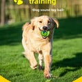 Pet Dog Toy Self-Play Ball, Rolling Sound Ball, Teeth Grinding Stress Relief, Durable Chew Toy, Fun Interactive Dog Toy